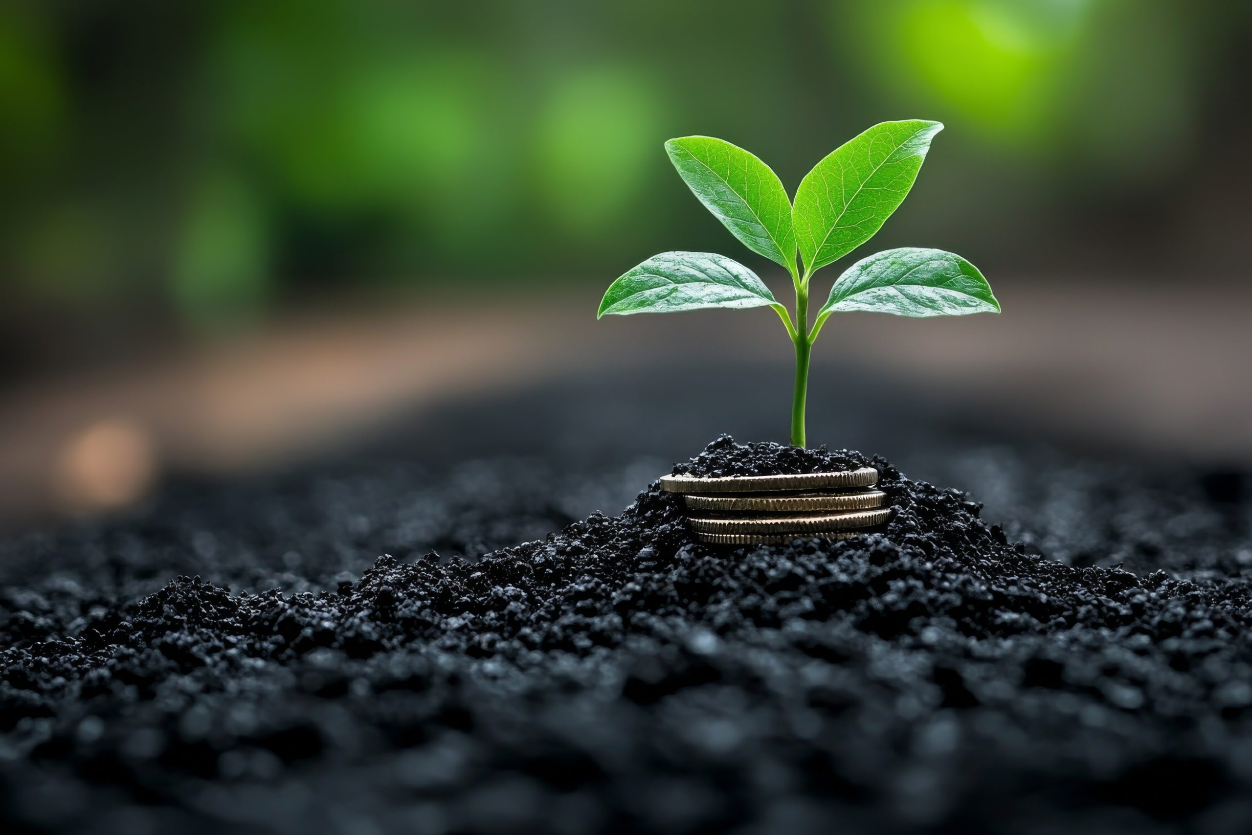 Brazilian investors less bullish on ESG